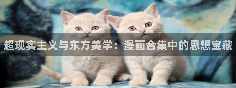 51漫画官网免费版