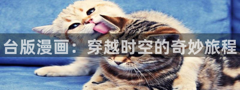 51漫画视频