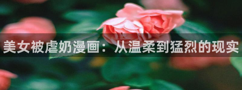 51漫画下载地址