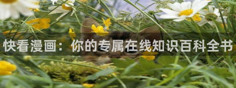 51漫画无删减版